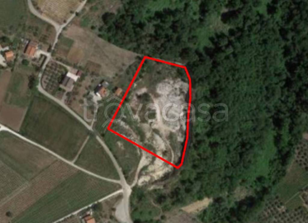 immagine annuncio 6 di 9