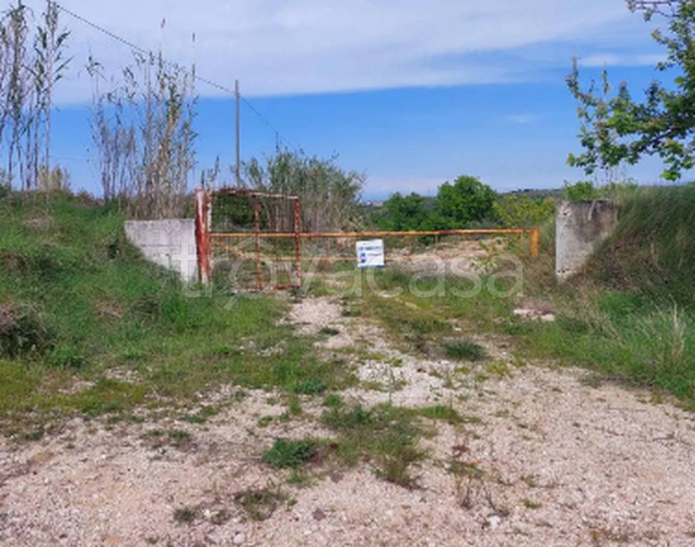 immagine annuncio 7 di 9