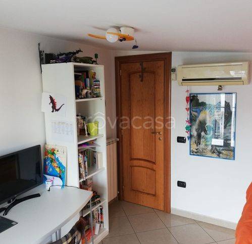 immagine annuncio 5 di 14