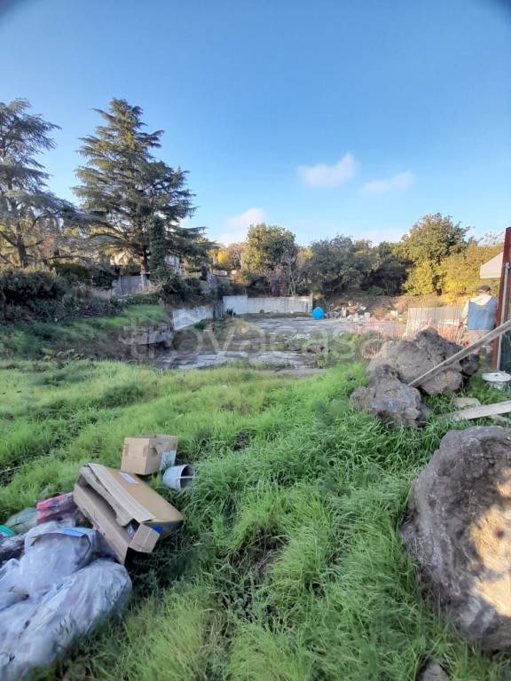 immagine annuncio 6 di 8