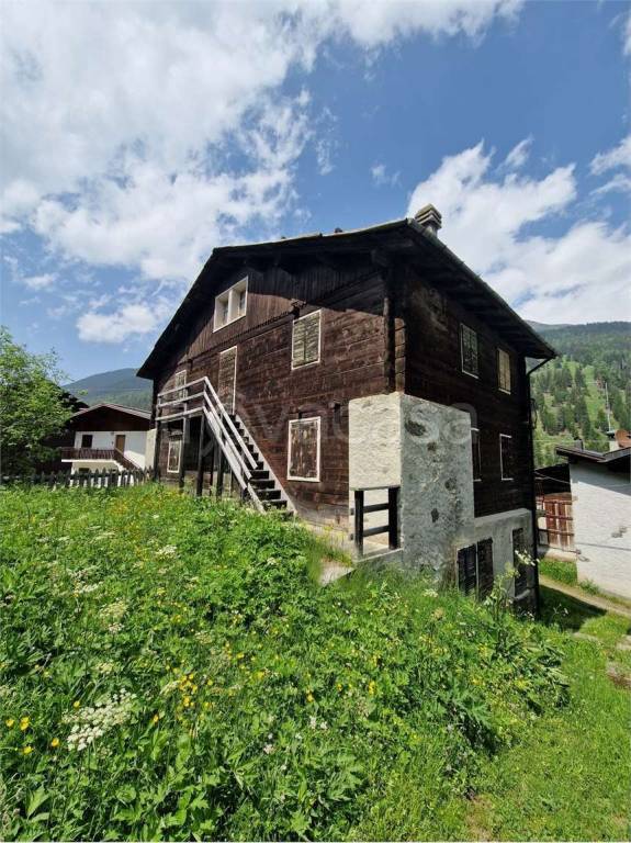 immagine annuncio 1 di 12