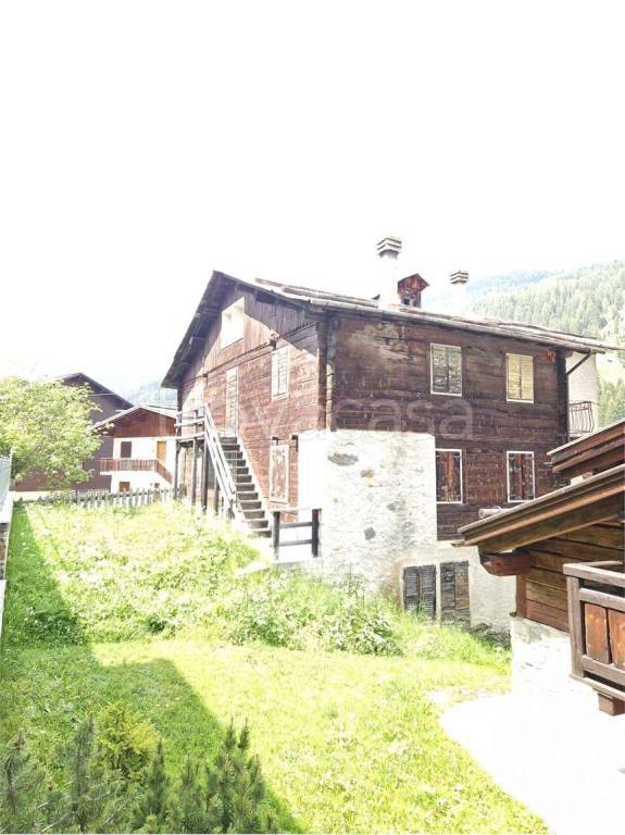 immagine annuncio 2 di 12