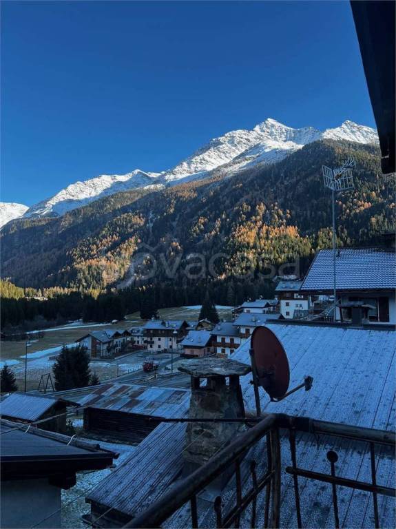 immagine annuncio 9 di 12