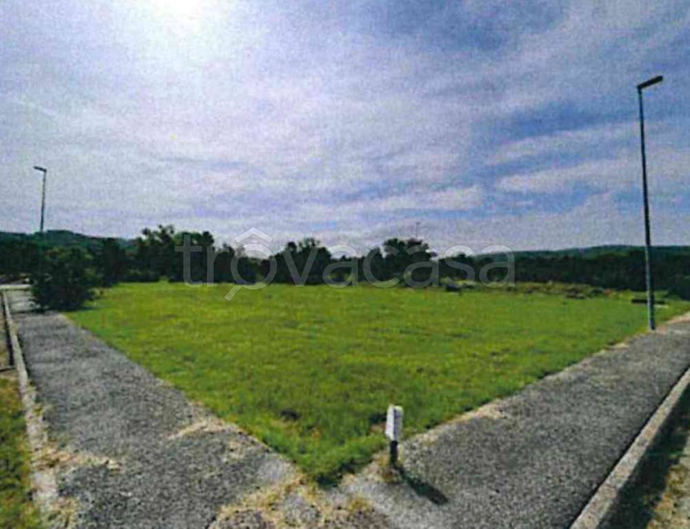 immagine annuncio 4 di 12