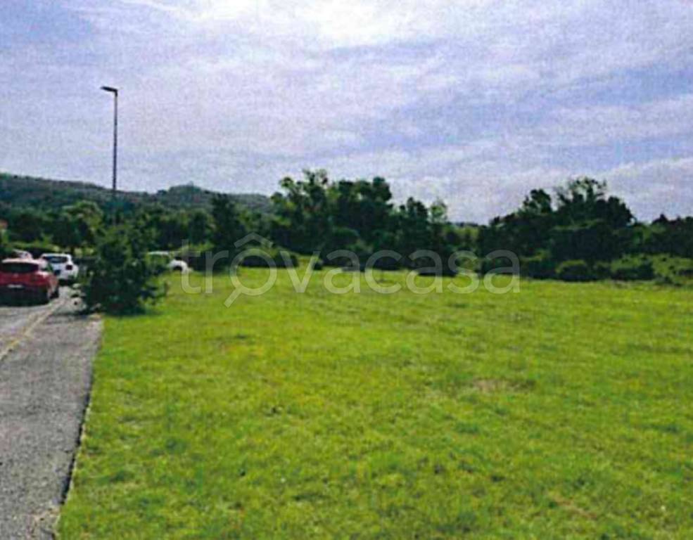 immagine annuncio 5 di 12