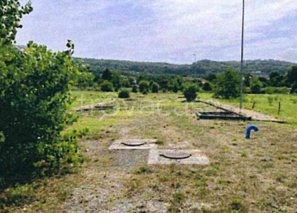 immagine annuncio 8 di 12