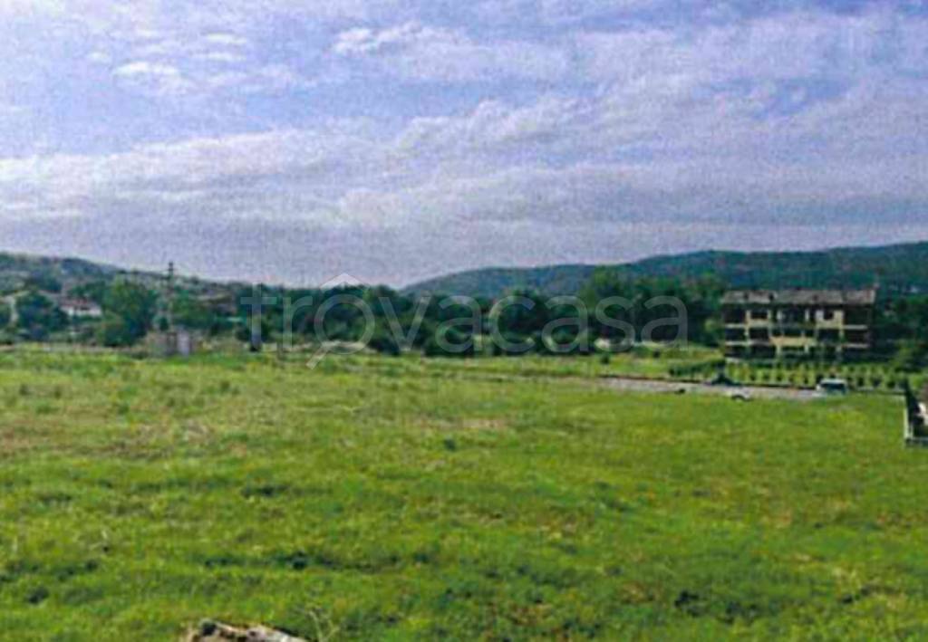 immagine annuncio 10 di 12