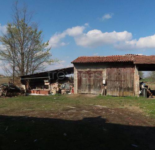 immagine annuncio 6 di 11