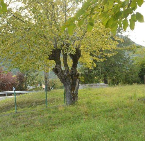 immagine annuncio 10 di 14