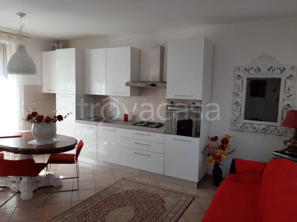 immagine annuncio 3 di 14