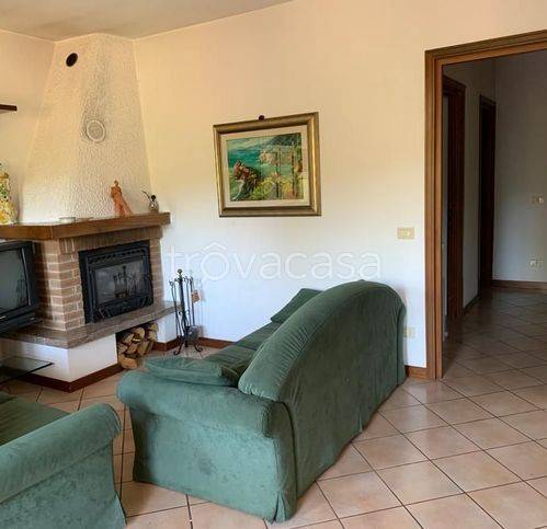 immagine annuncio 4 di 14