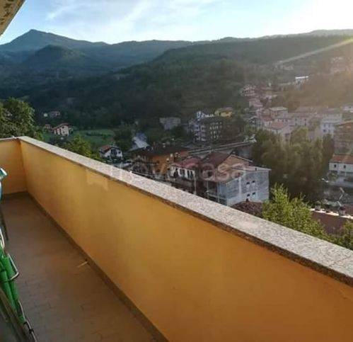 immagine annuncio 2 di 7