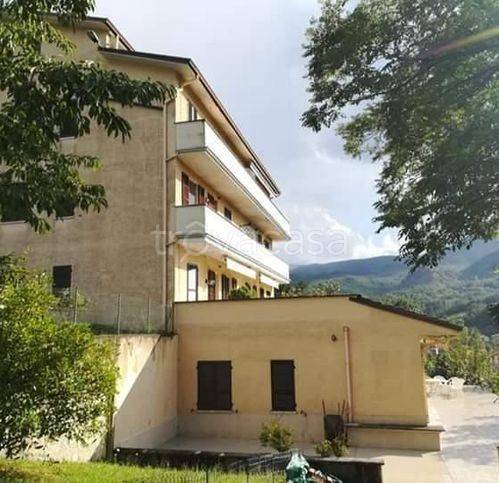 immagine annuncio 6 di 7