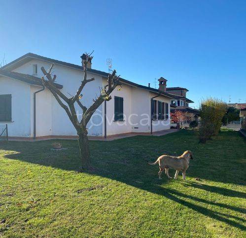 immagine annuncio 3 di 14