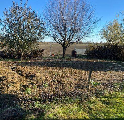 immagine annuncio 4 di 14