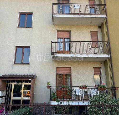 immagine annuncio 8 di 14