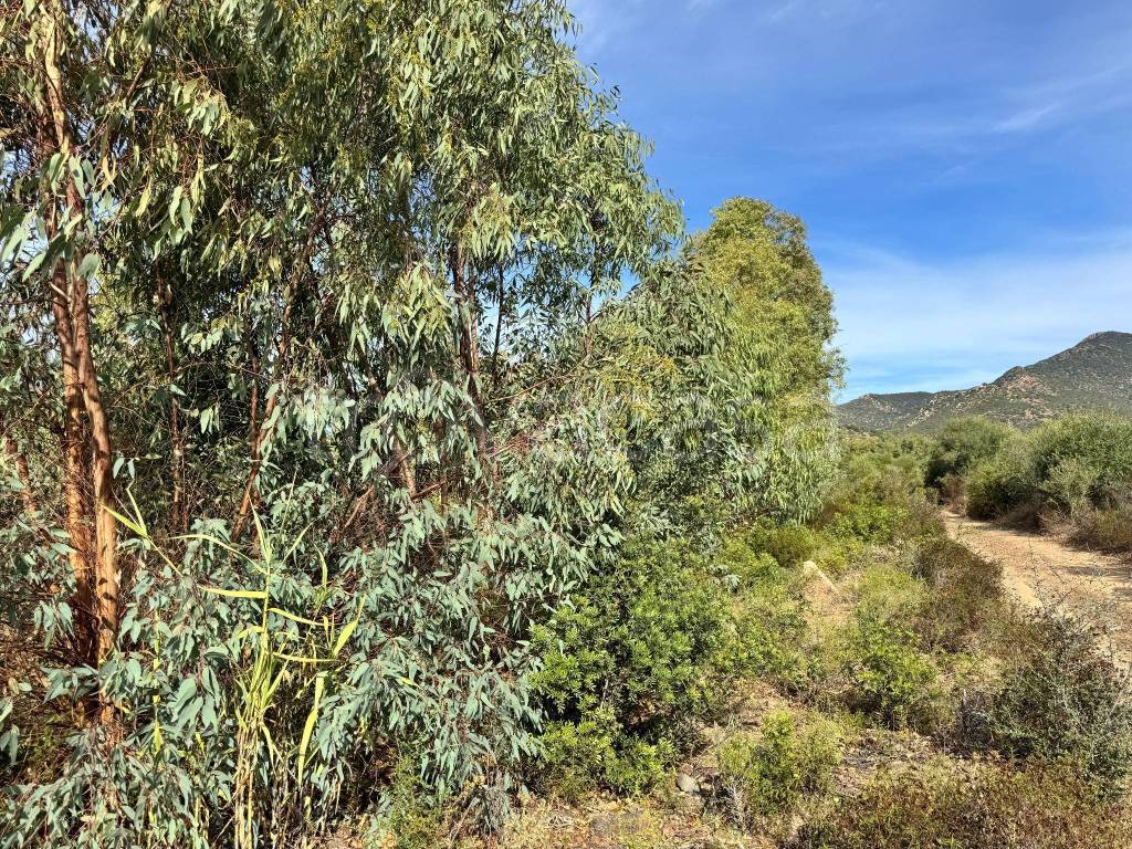 immagine annuncio 4 di 7