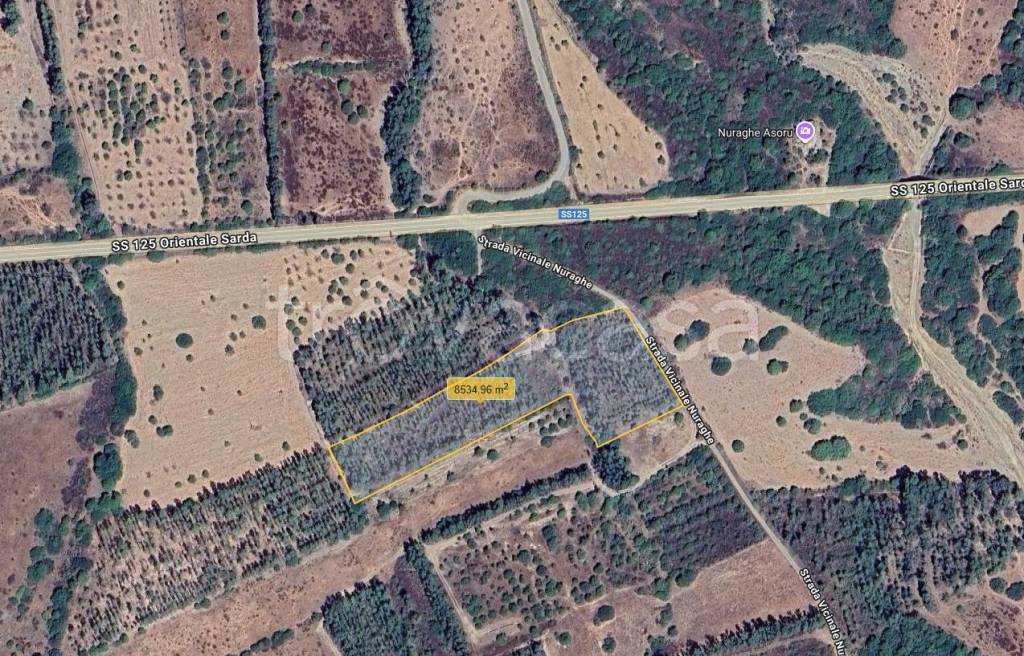 immagine annuncio 6 di 7