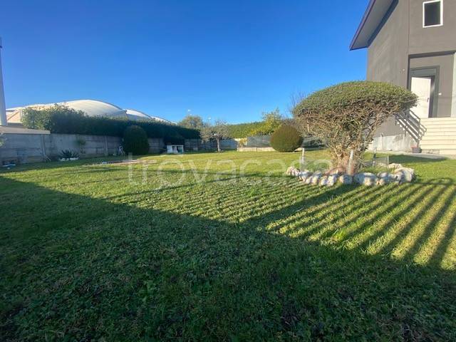 immagine annuncio 9 di 11