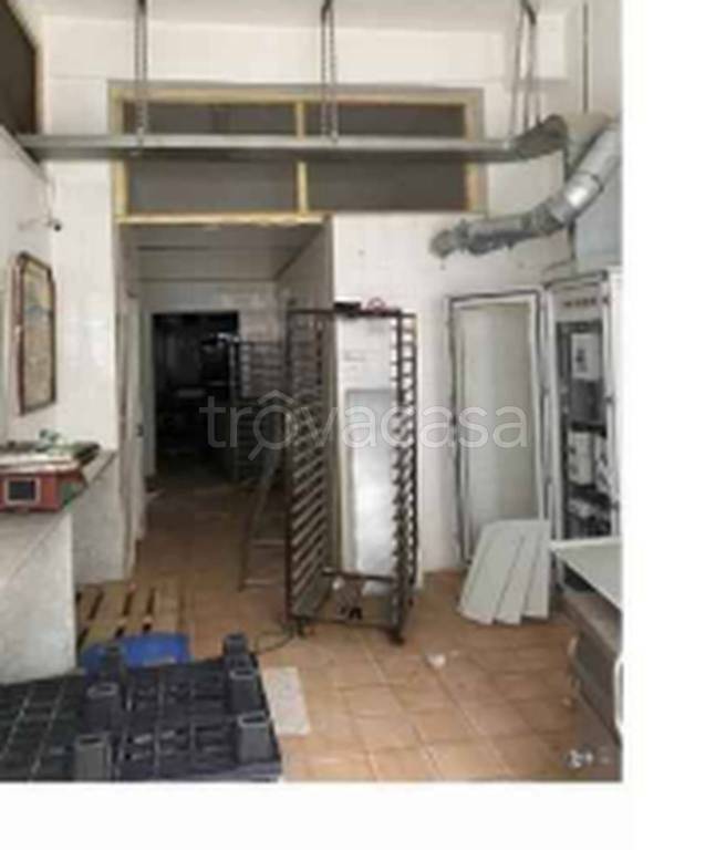 immagine annuncio 5 di 11