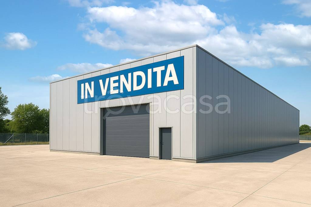 immagine annuncio 4 di 8