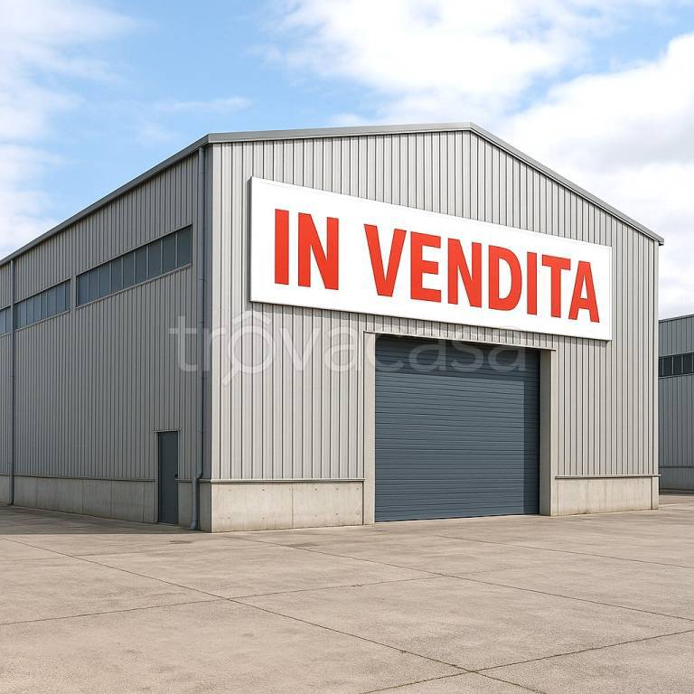 immagine annuncio 5 di 8