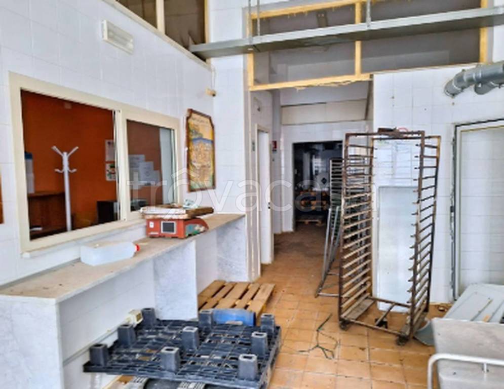 immagine annuncio 10 di 11