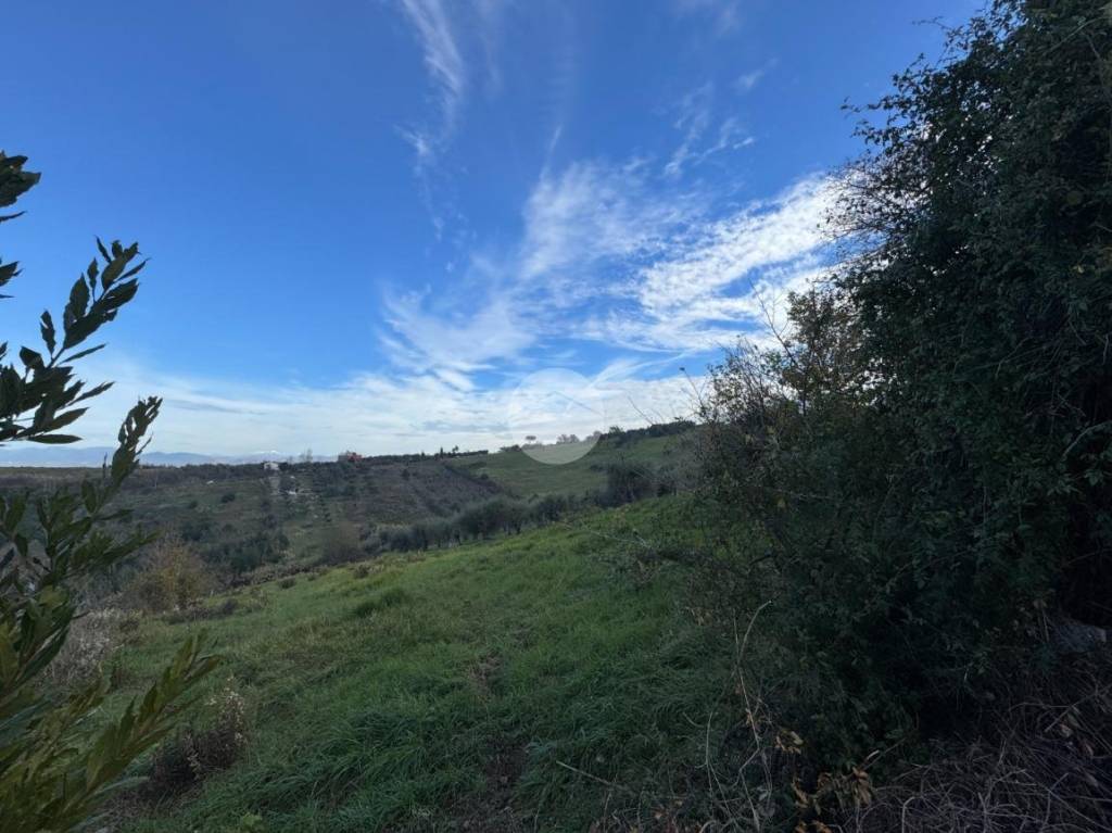 immagine annuncio 3 di 8