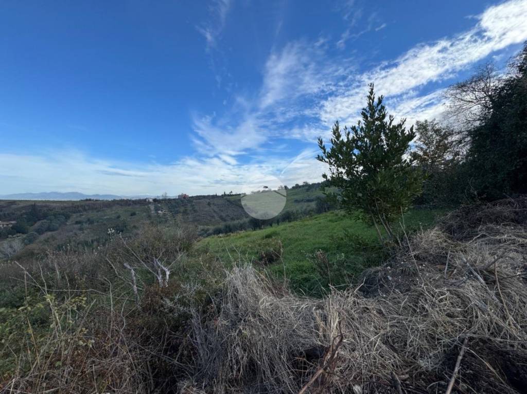 immagine annuncio 4 di 8