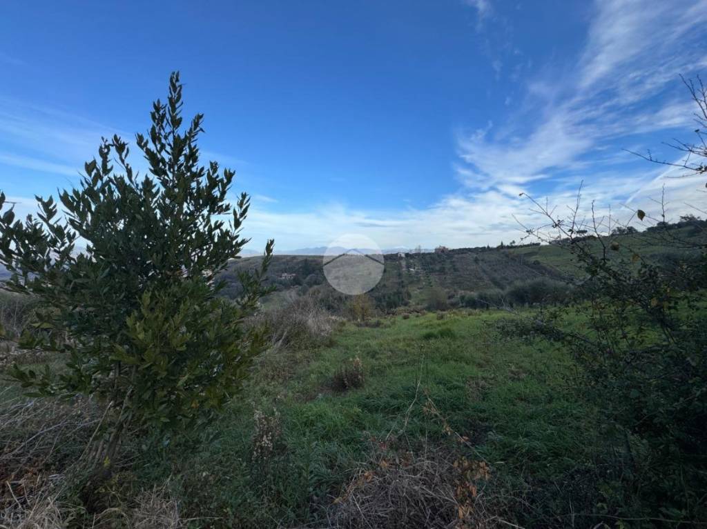 immagine annuncio 5 di 8