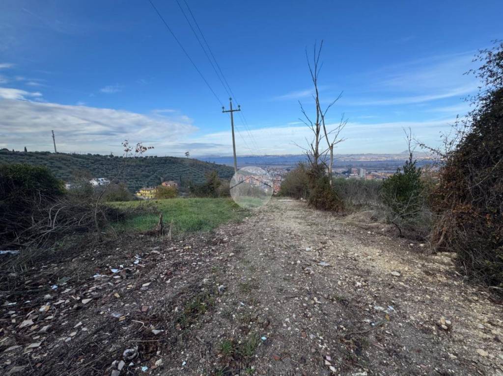 immagine annuncio 6 di 8