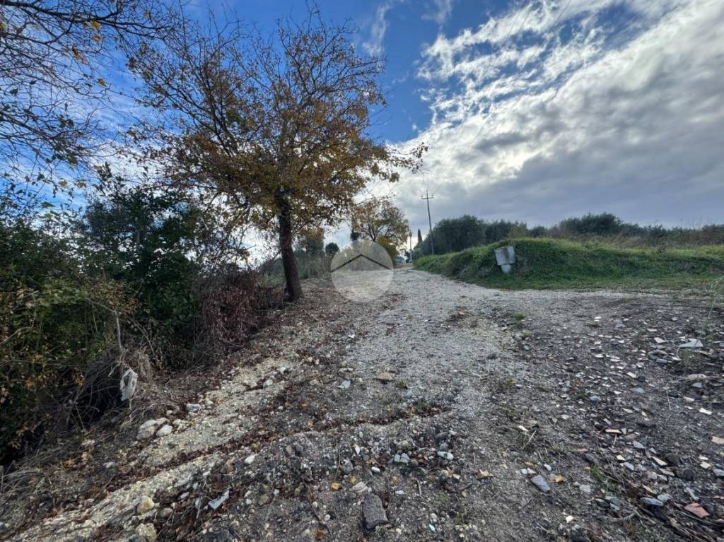 immagine annuncio 7 di 8