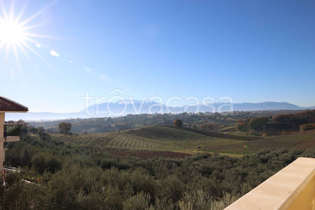 immagine annuncio 10 di 14