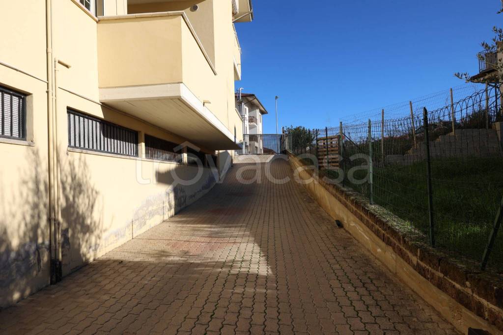 immagine annuncio 12 di 14