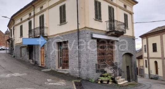 immagine annuncio 7 di 11