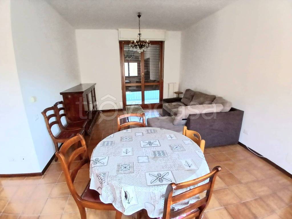 immagine annuncio 2 di 12