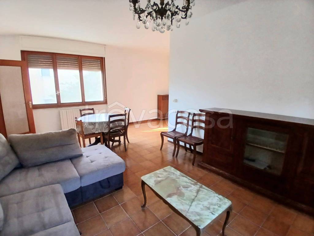 immagine annuncio 3 di 12