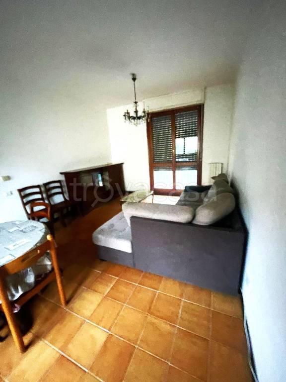 immagine annuncio 4 di 12