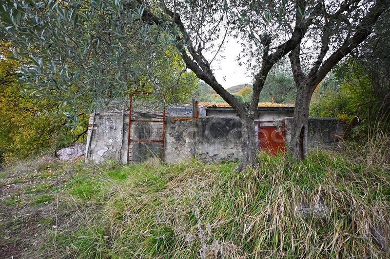 immagine annuncio 3 di 12