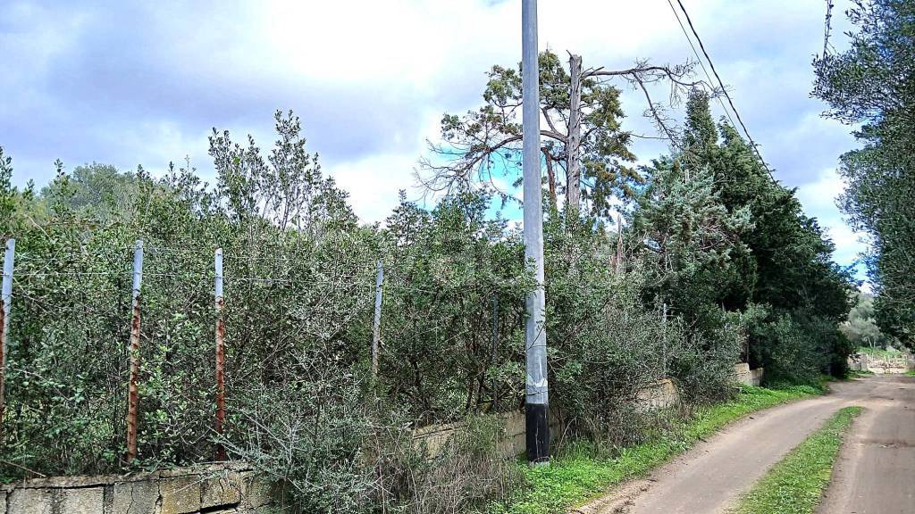 immagine annuncio 7 di 11