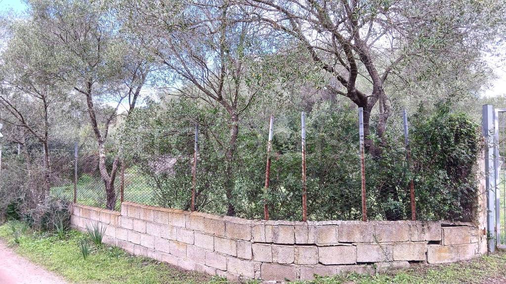 immagine annuncio 3 di 11