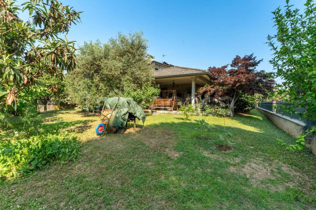 immagine annuncio 9 di 15