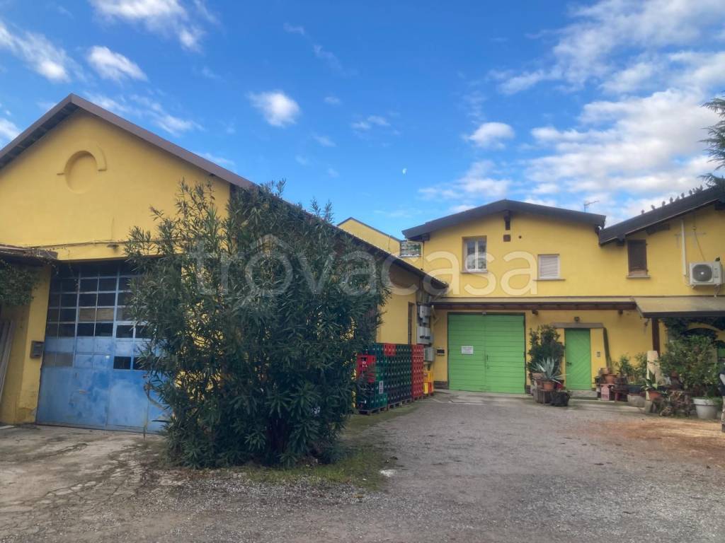 immagine annuncio 3 di 6