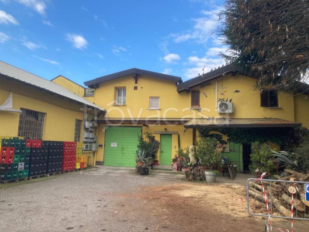 immagine annuncio 5 di 6