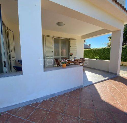 immagine annuncio 3 di 14