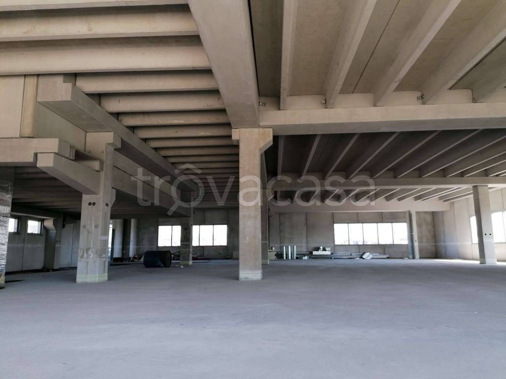 immagine annuncio 1 di 9