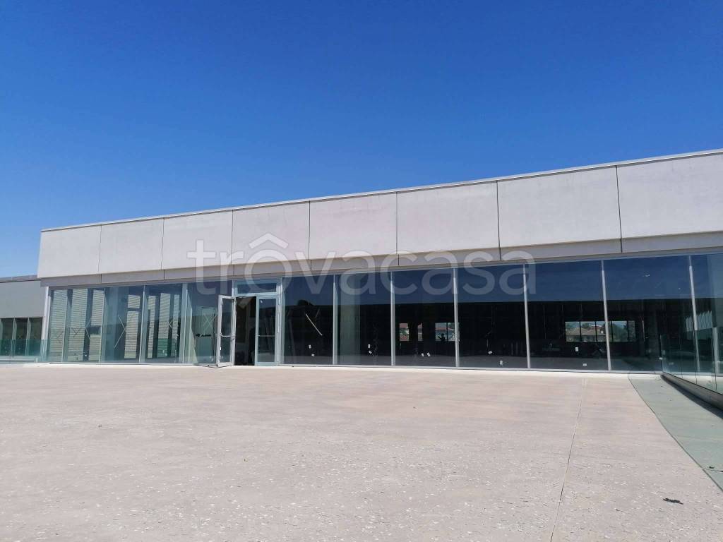 immagine annuncio 2 di 9