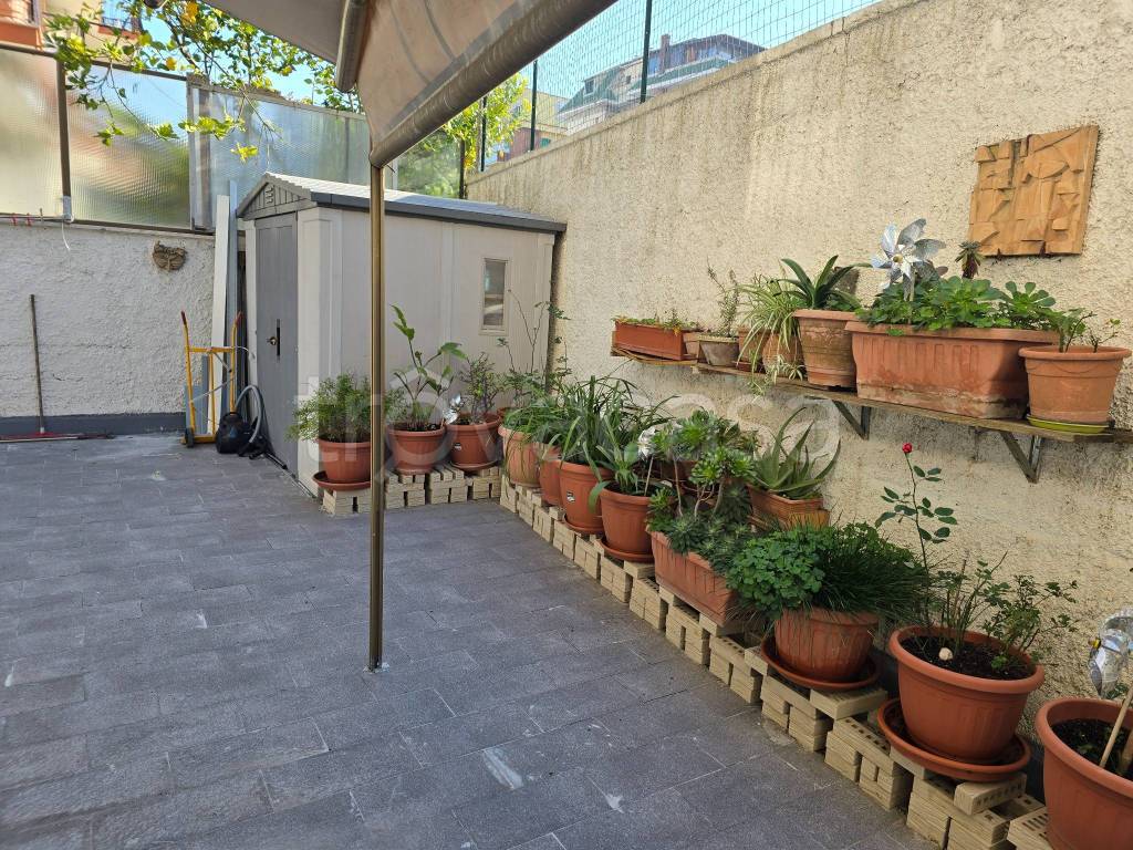 immagine annuncio 3 di 13