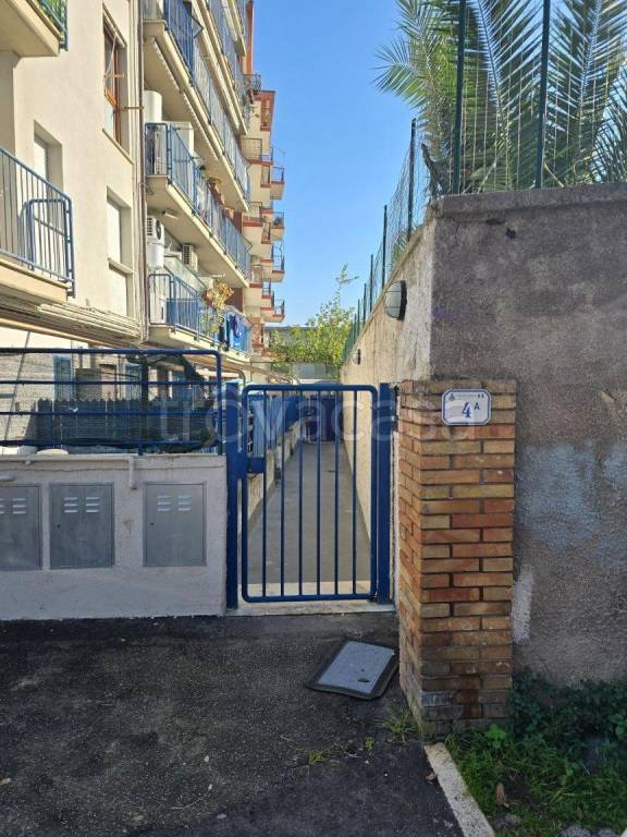 immagine annuncio 2 di 13