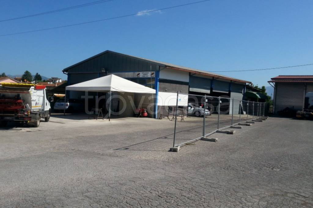 immagine annuncio 2 di 12